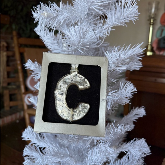 MERCURY GLASS LETTER Ornament Faux Mercury Glass Silver Initial Rustic Antiqued - Picture 6 of 8